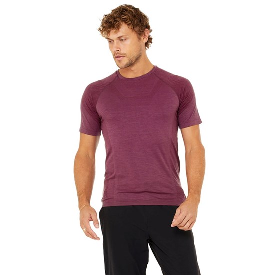 Camiseta Alo Yoga Amplify Seamless Corta Sleeves Hombre Rojos | 9143JUIBO