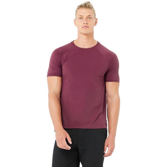 Camiseta Alo Yoga Idol Performance Corta Sleeves Hombre Rojos | 0763DNFQK