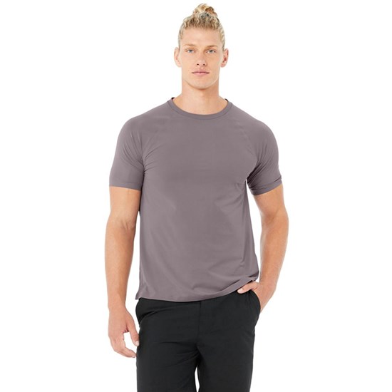 Camiseta Alo Yoga Idol Performance Corta Sleeves Hombre Morados | 9025ERJKW