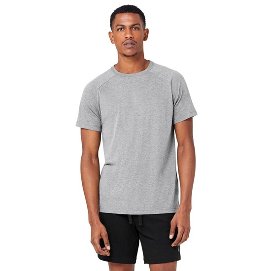 Camiseta Alo Yoga The Triumph Crew Neck Corta Sleeves Hombre Grises | 2540TLDRA