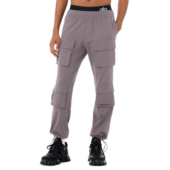 Pantalones Alo Yoga Cargo Venture Hombre Morados | 5049PFDAU